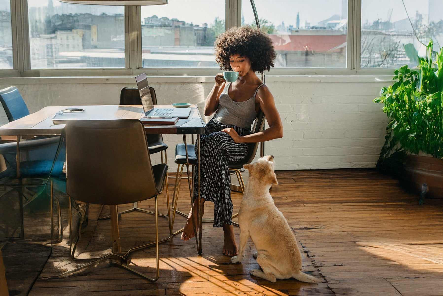Goodbye Distractions: Why Zenz Unwind Earplugs Are a Game-Changer for Remote Workers and Students